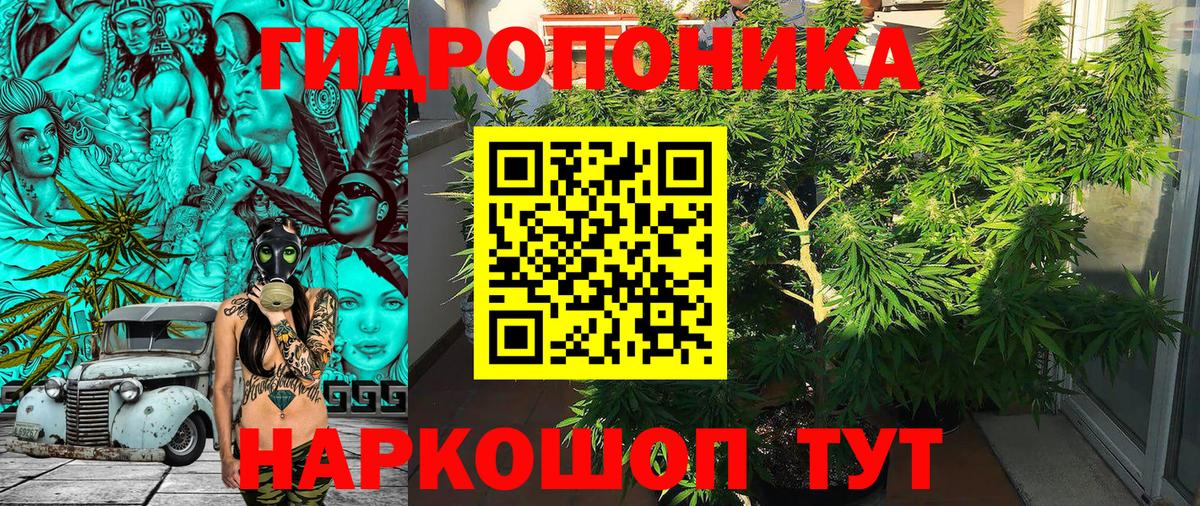 Бошки марихуана семена  Бошки марихуана план  Марихуана Ganja  Вход с VPN  Вятские Поляны  Канабис Amnesia 